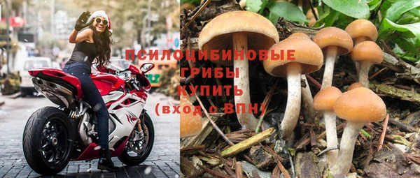 метамфетамин Богданович