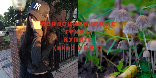 каннабис Богородицк