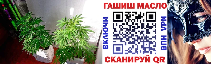 Купить закладки  Саров  Дистиллят ТГК Wax 